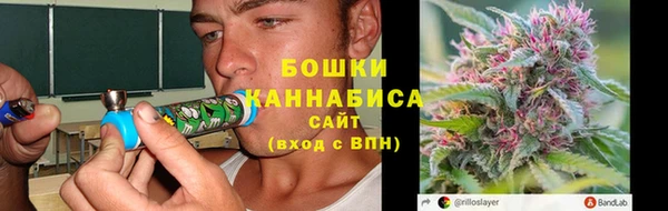 кокс Арсеньев