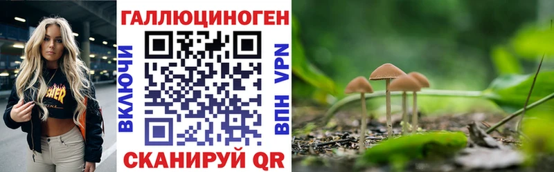 Псилоцибиновые грибы Cubensis  что такое наркотик  Новороссийск 